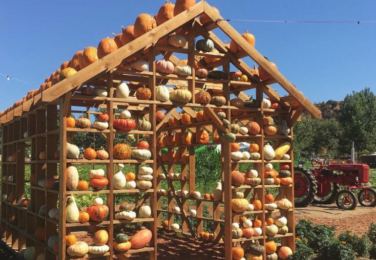 Live Oak Canyon Pumpkin House