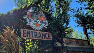 Live Oak Canyon Pumpkin Patch