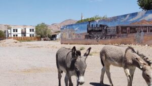 Explore Beatty, Nevada: Gateway to Death Valley & Desert Adventures
