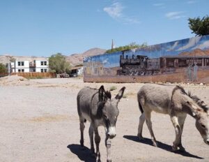 Explore Beatty, Nevada: Gateway to Death Valley & Desert Adventures