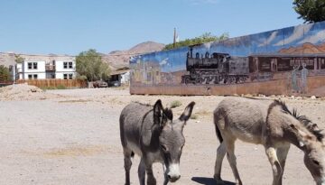 Explore Beatty Nevada: The Gateway to Death Valley