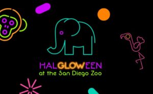 Halloween Events in Southern California - 2024
