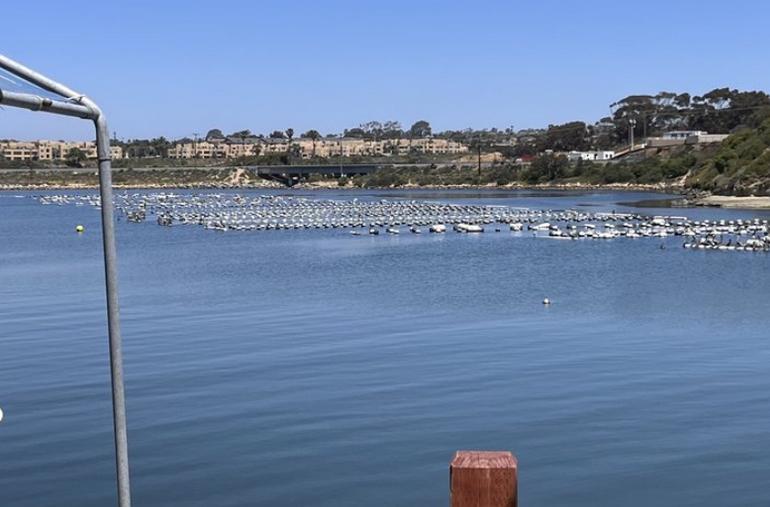 Agua Hedionda Lagoon