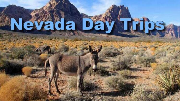 Nevada Day Trips