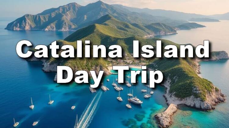 Catalina Island Day Trip