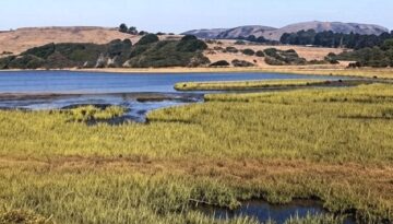 Day Trip to Tomales Bay
